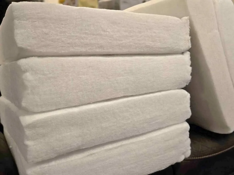 Seat Cousion Inserts Indoor & Outdoor 24 x 24