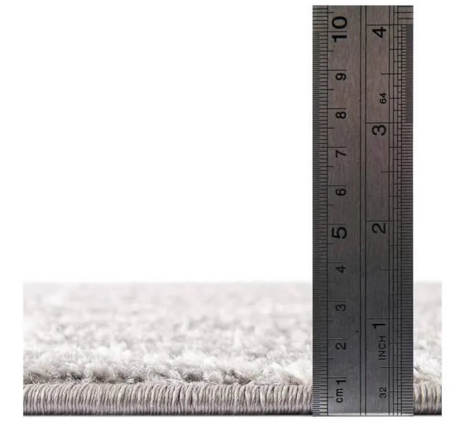 Area Rug image indicator(6)