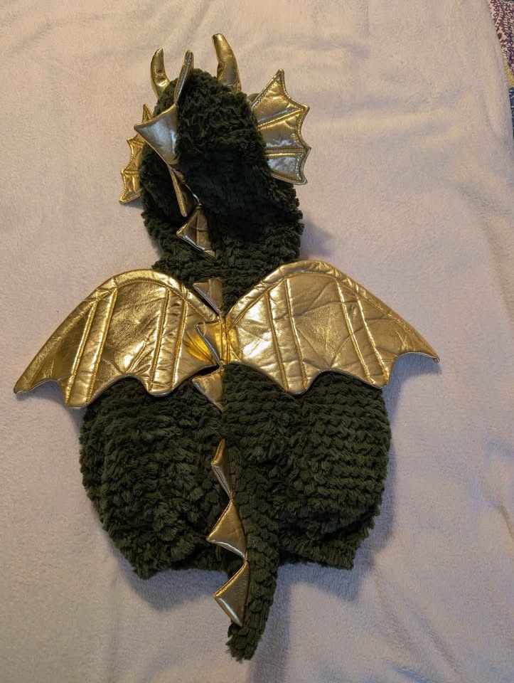 Halloween Costume - Ministry of Rascals - Green Magic Dragon Cos - photo 2