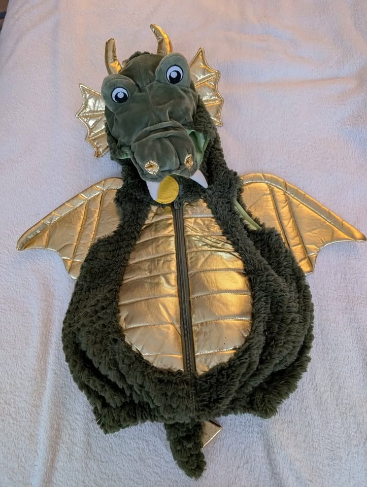 Halloween Costume - Ministry of Rascals - Green Magic Dragon Cos - photo 4