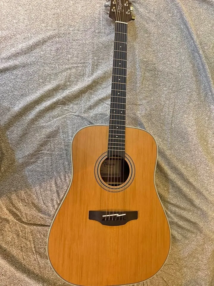 Takamine G guitar