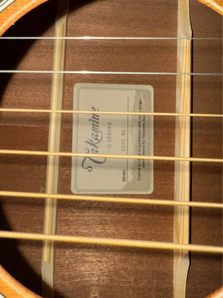 Takamine G guitar image indicator(3)