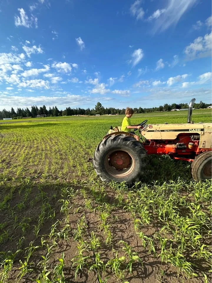 Case 430 tractor with hydraulic tilt trailer