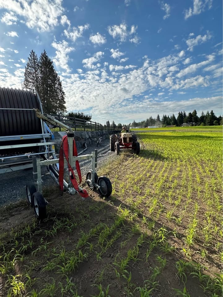 Case 430 tractor with hydraulic tilt trailer - photo 2