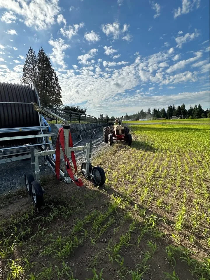 Case 430 tractor with hydraulic tilt trailer image indicator(2)