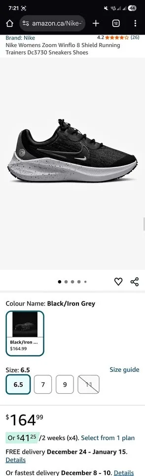 Nike Winflo 8 Shield