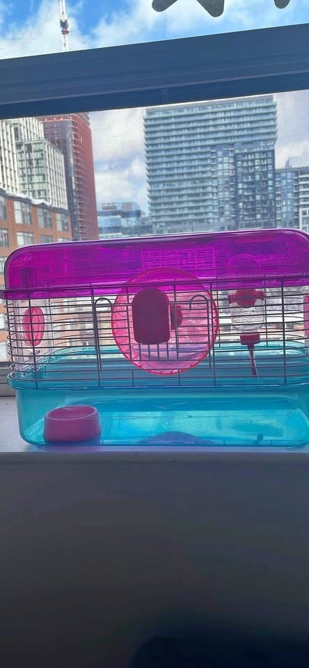 Hamster cages