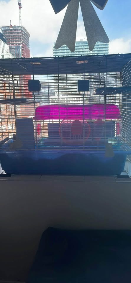 Hamster cages - photo 5