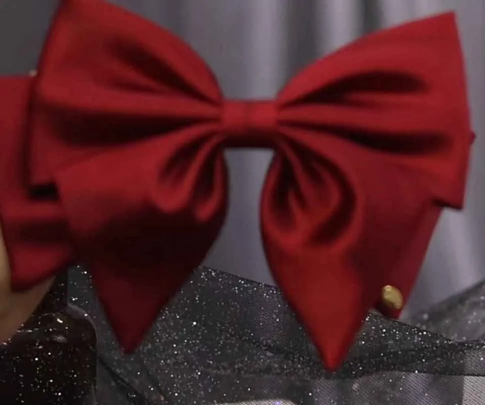 Elegant Red Ceremony Dress image indicator(4)