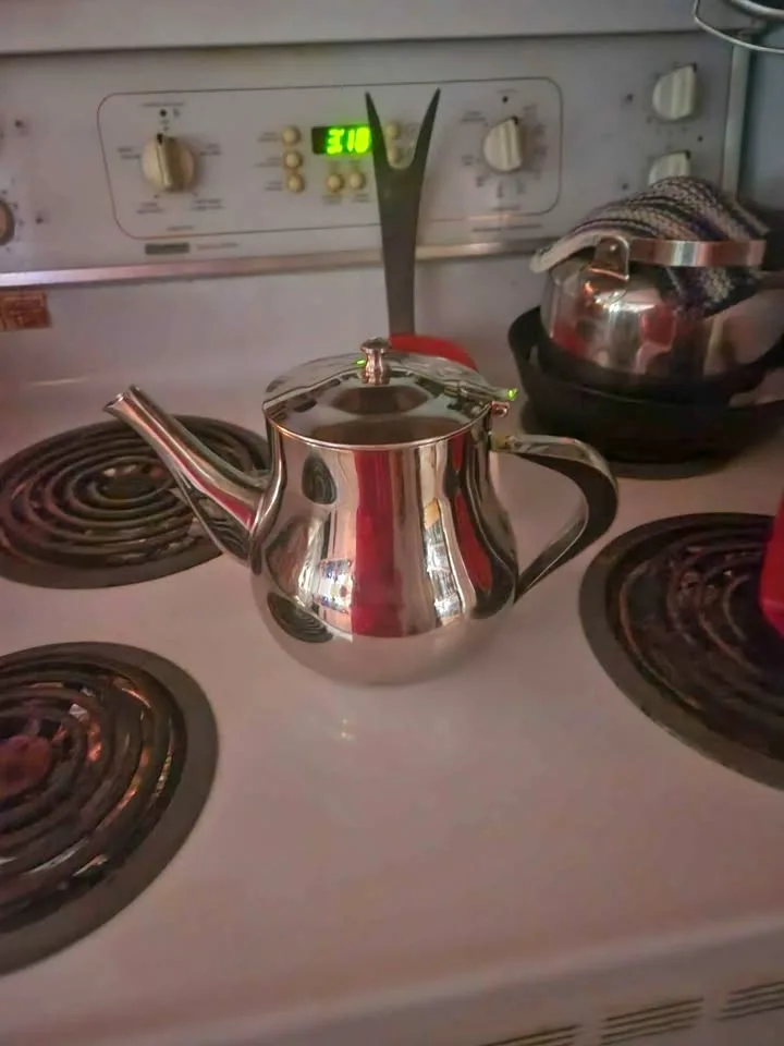 Stainless steel Tea Pot