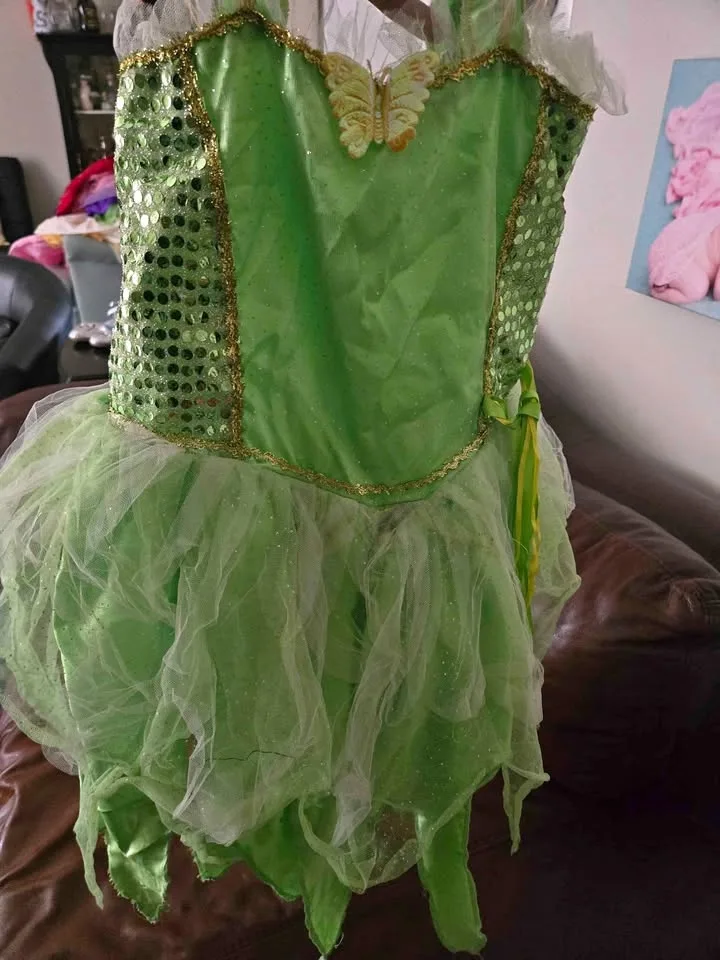 Fairy costume 3t