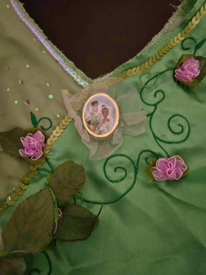 3t dinsey princess dress