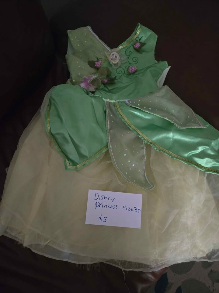 3t dinsey princess dress - photo 2