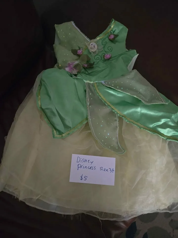 3t dinsey princess dress image indicator(2)