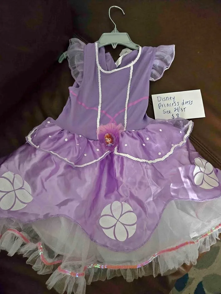 Disney princess dress 2/3 t ( costume )