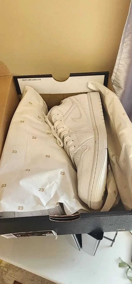 Jordan 1 image indicator(2)