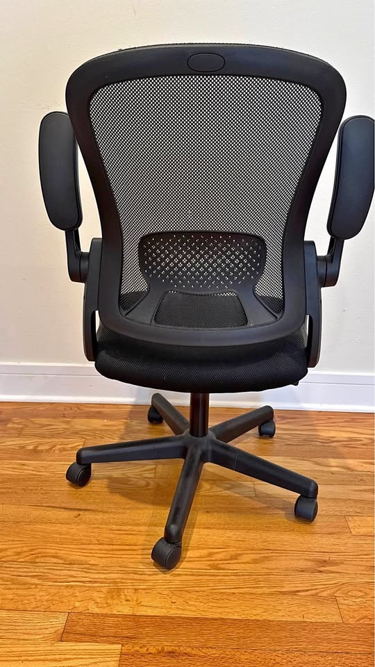Ergonomic Office Chair