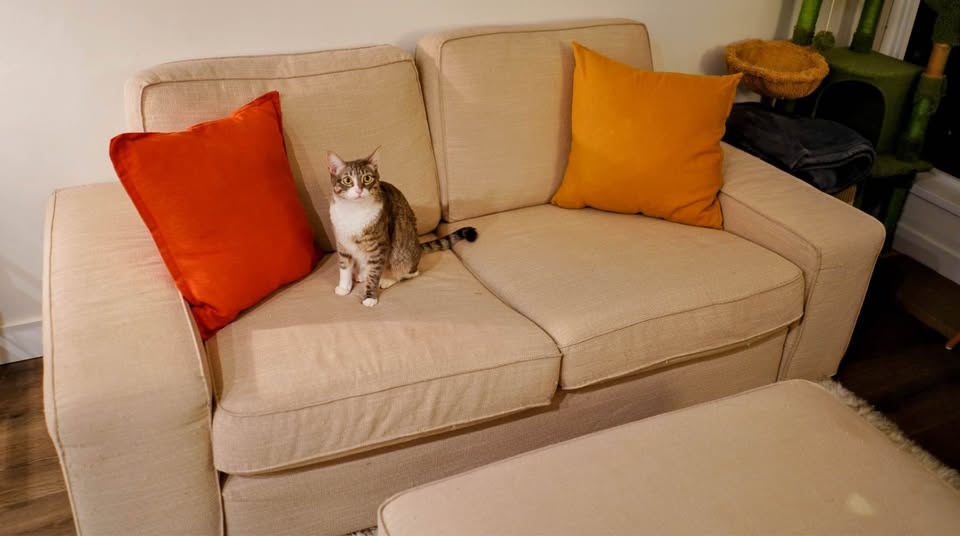 IKEA KIVIK Couchwith with Ottoman - photo 2