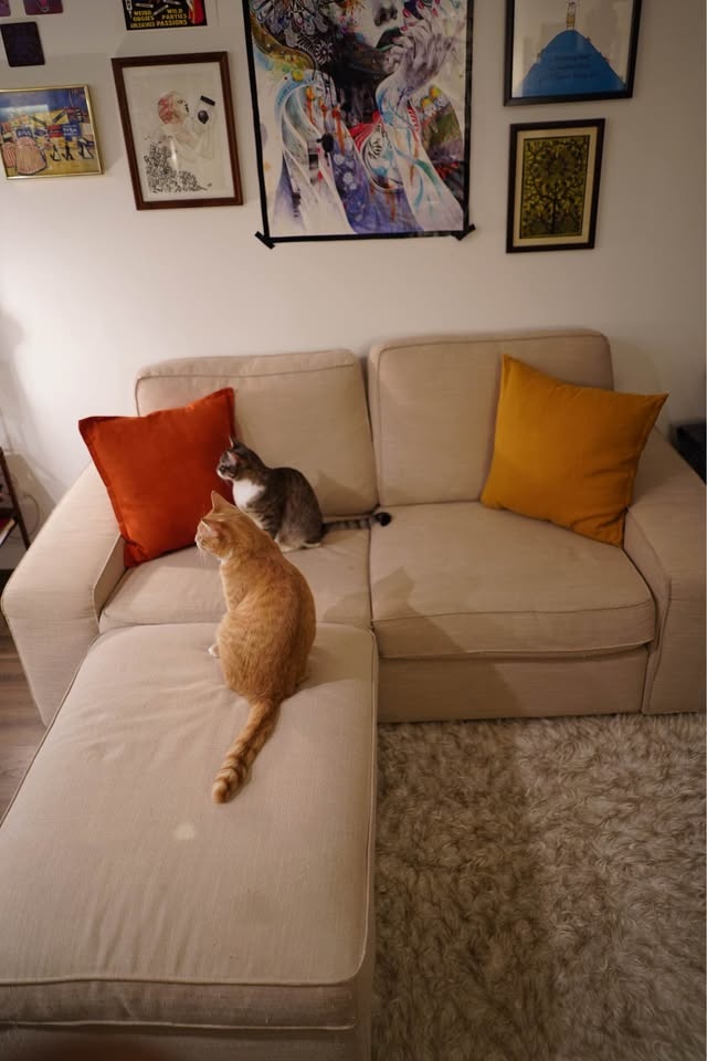 IKEA KIVIK Couchwith with Ottoman - photo 4