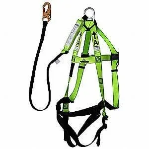 Harness with lanyard