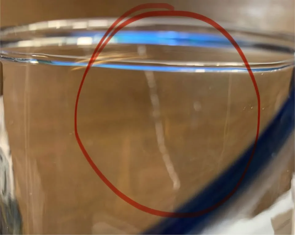 Lot of 4 Libbey Blue Ribbon Glasses 6” Tall #Cleanout image indicator(5)