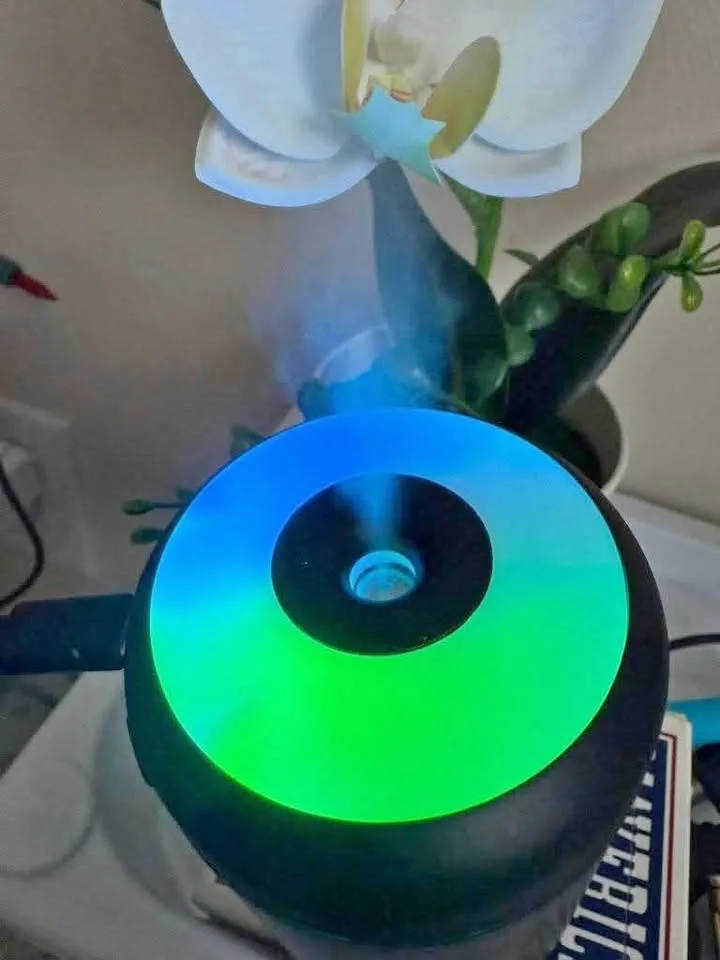 Studio 0 bathrooms – Flat