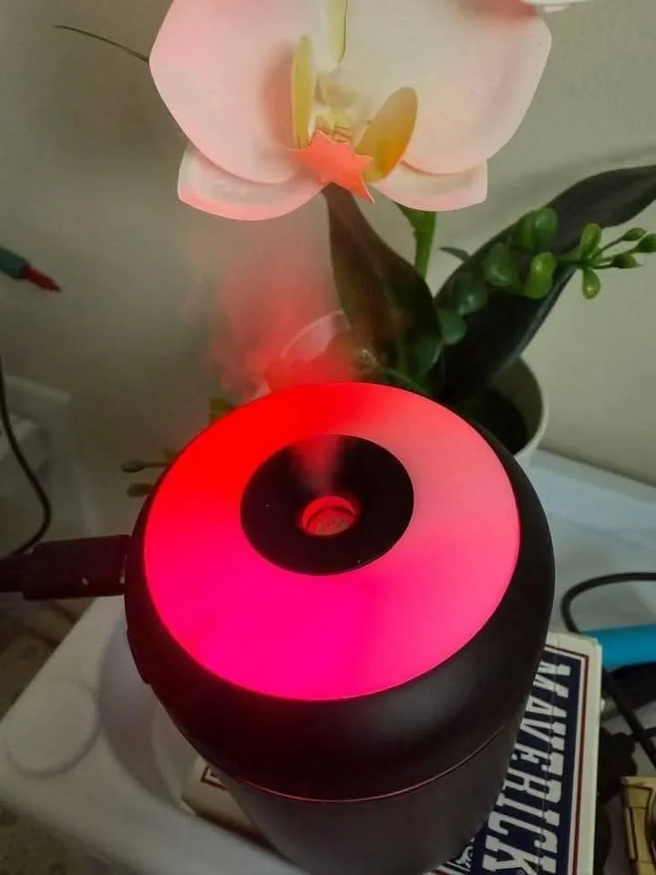 Studio 0 bathrooms – Flat image indicator(2)