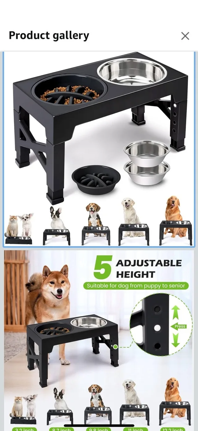 dog feeder