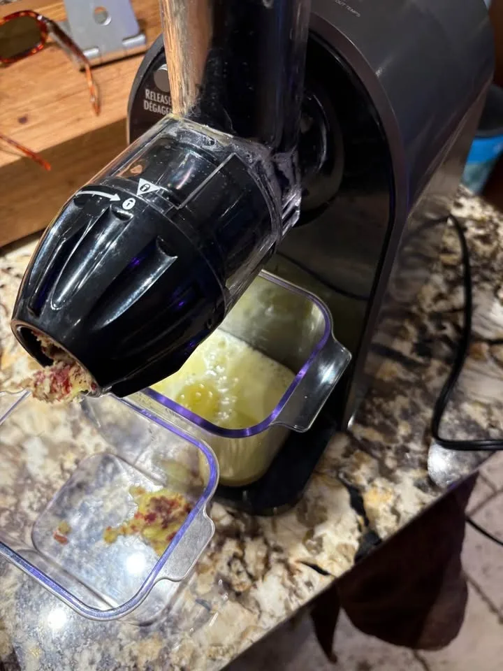 Hamilton beach slow juicer. image indicator(4)