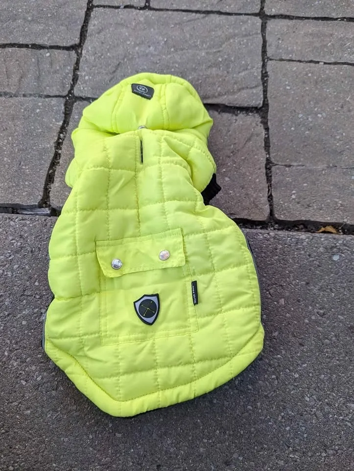 Silver Paw jacket for small dog.