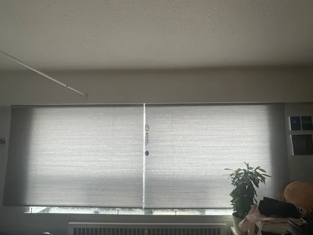 Honeycomb blinds for window