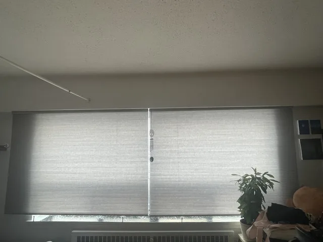 Honeycomb blinds for window image indicator(2)