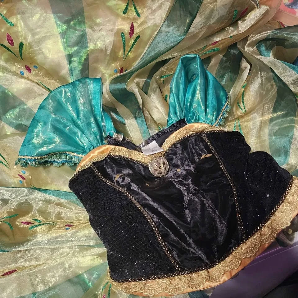 Disney Anna dress image indicator(2)