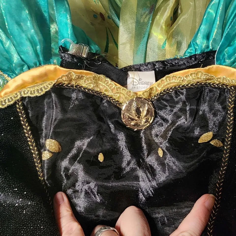 Disney Anna dress image indicator(3)