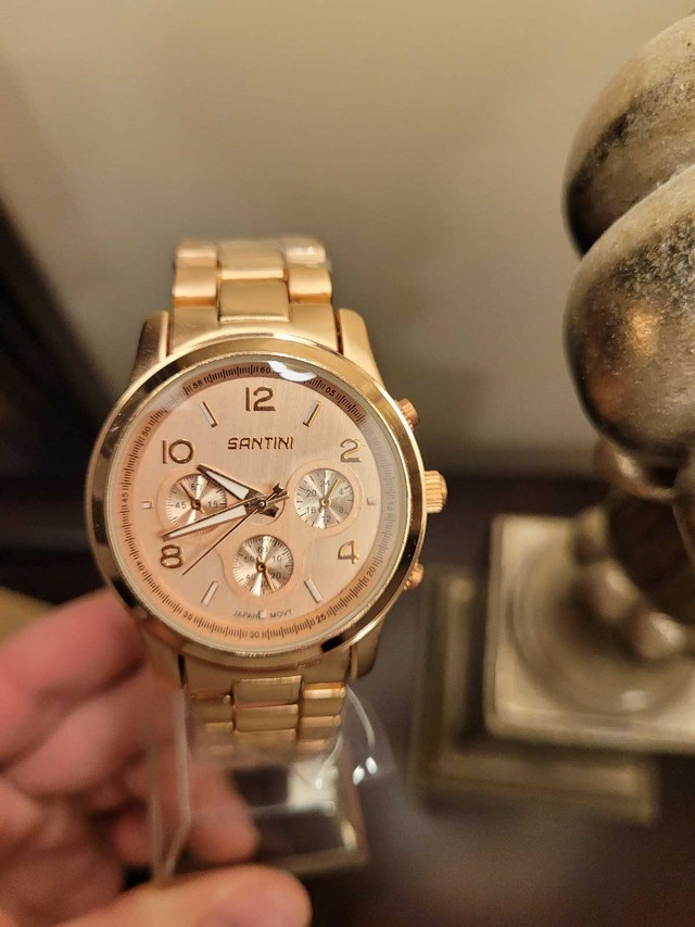 Brand New Unisex Santini Rose Gold Watch