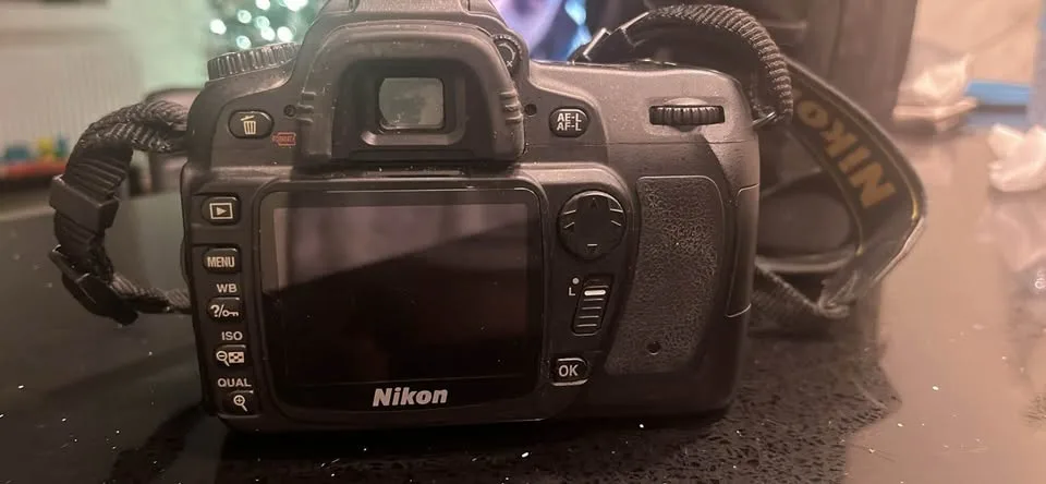 Nikon D80 digital SLR camera image indicator(3)