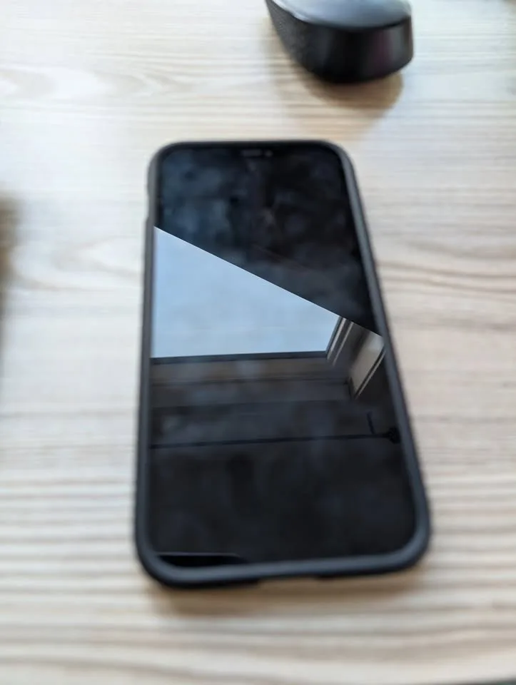 iPhone 12 Pro Max image indicator(2)