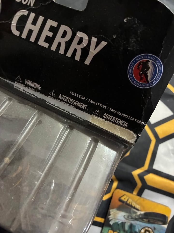 Bruins Lot - photo 4