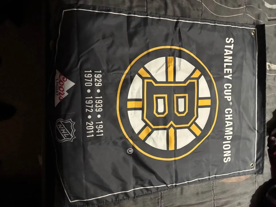 Bruins Lot image indicator(7)