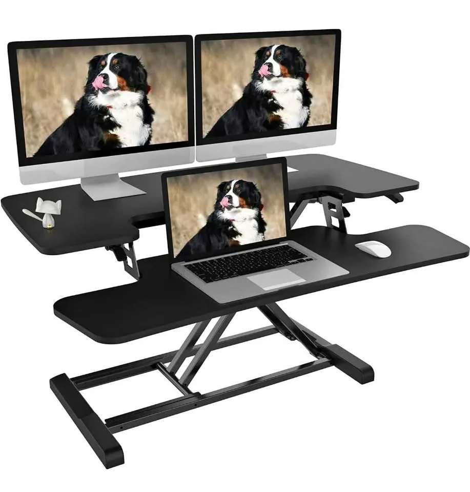 FLEXISPOT Standing Desk