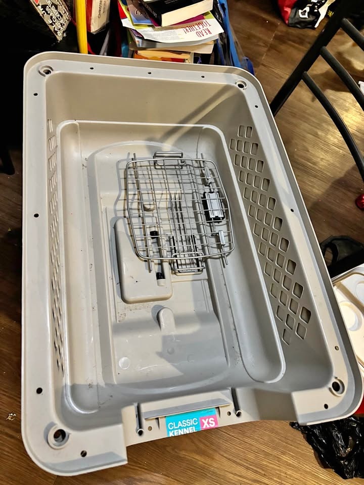 Dog cage FREE
