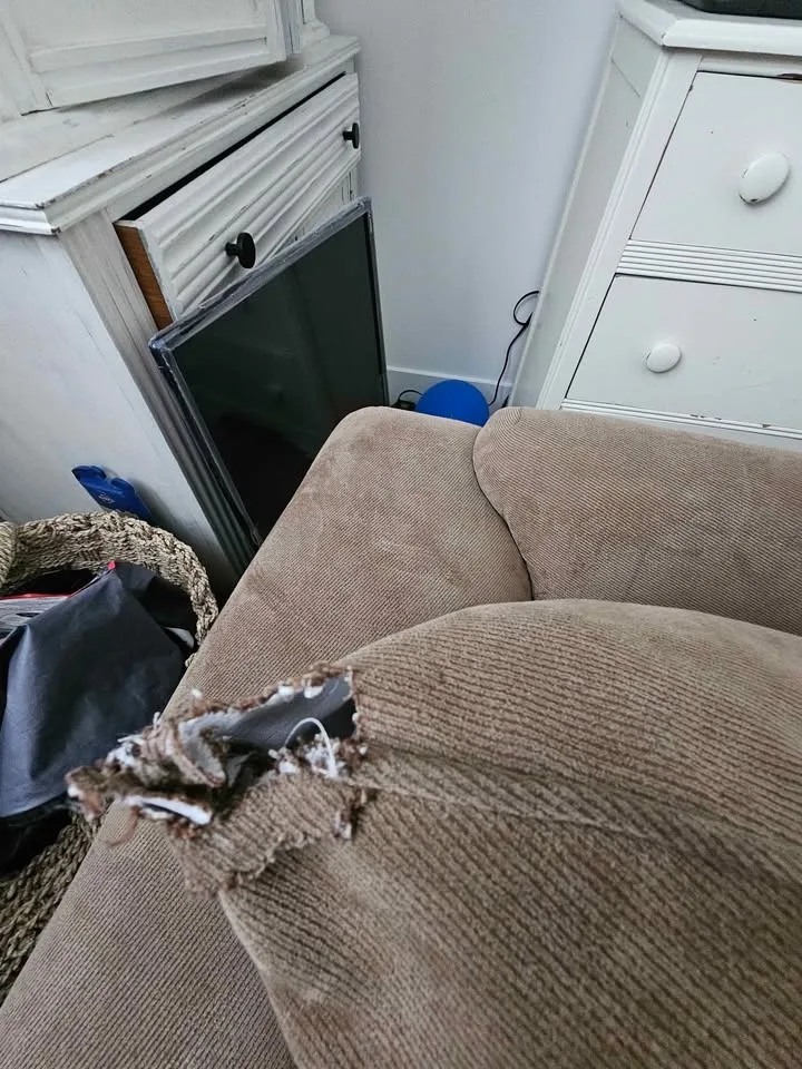 Chair &1/2 image indicator(3)