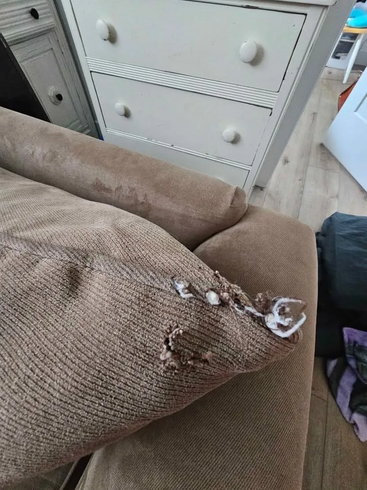 Chair &1/2 image indicator(4)