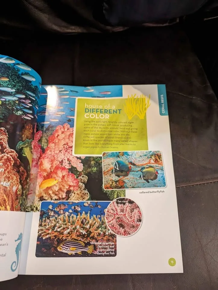 Ocean Animals : Who's Who in the Deep Blue by Johnna Rizzo image indicator(3)