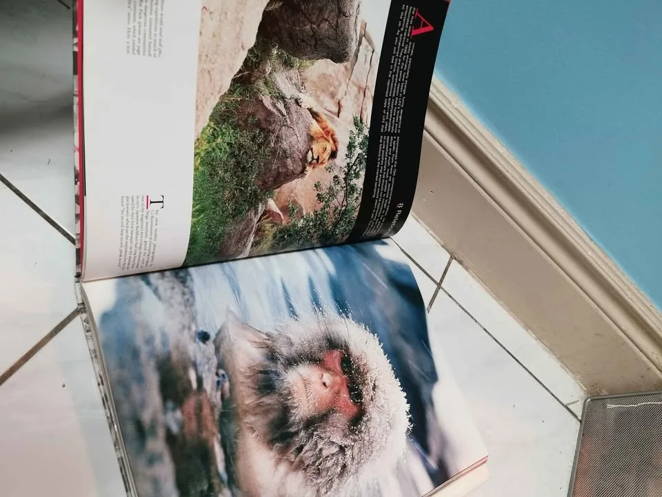 75 Years of Life Magazine image indicator(7)