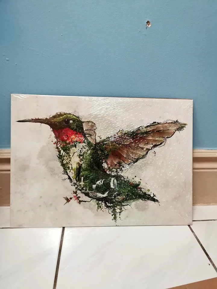 Displate Hummingbird Metal Sign Pick up, Toronto, Cabbagetown