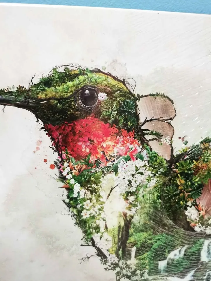 Displate Hummingbird Metal Sign Pick up, Toronto, Cabbagetown image indicator(2)