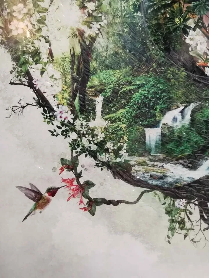 Displate Hummingbird Metal Sign Pick up, Toronto, Cabbagetown image indicator(3)