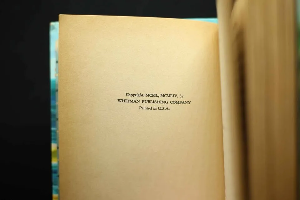 1954 The Bobbsey Twins at the Seashore image indicator(4)