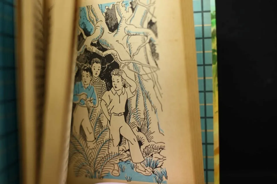 1954 The Bobbsey Twins at the Seashore image indicator(8)